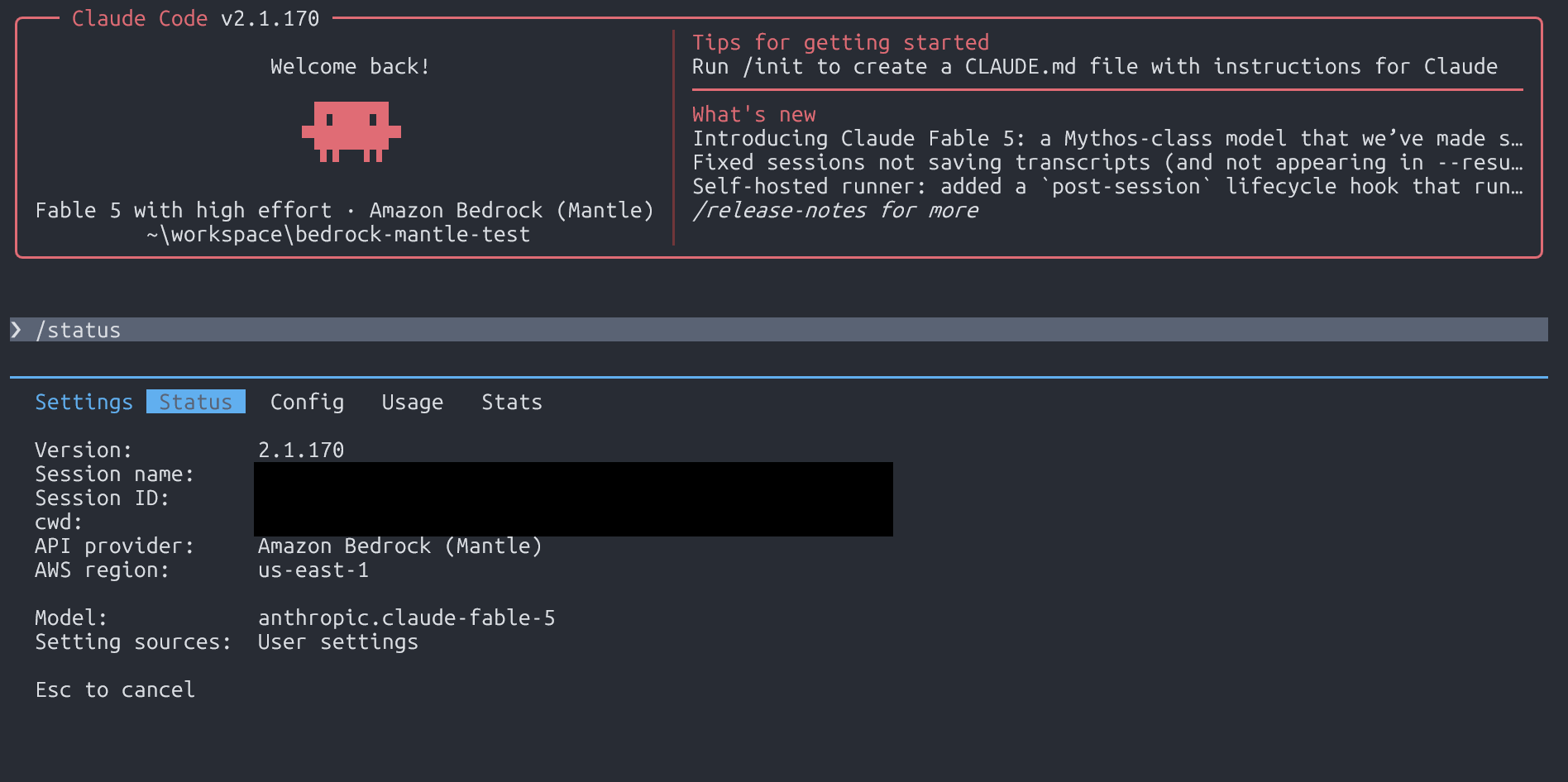 /statusでAPI providerとModelを確認した画面